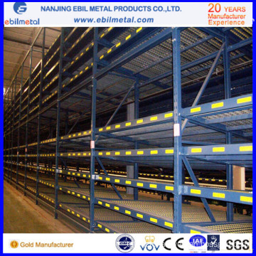 Steel Pallet Flow Racking (EBIL-ZLHJ)